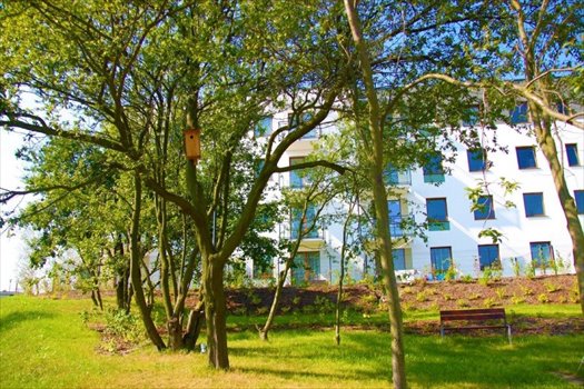 Nowe mieszkanie dwupokojowe Wolne Miasto V Etap Gdańsk, Ujeścisko, ul. Cedrowa 31 50m2 Foto 9