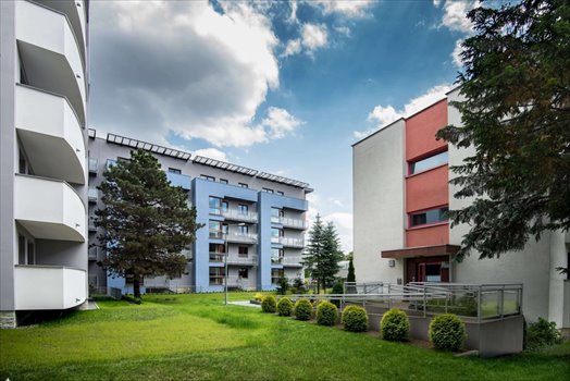 Zaczarowany Młyn Kraków, Prądnik Czerwony, Jana Kaczary Foto 8