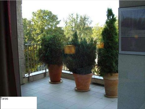 Mieszkanie dwupokojowe na wynajem Warszawa, Praga Południe 54m2 Foto 5