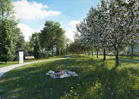 Chojnów Park Krępa, Długa Foto 7