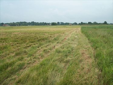działka na sprzedaż 700000m2 działka ok. Wrocławia, Polna