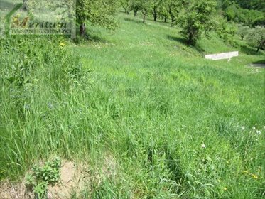 Działka budowlana na sprzedaż Rytro 1 000m2 Foto 5