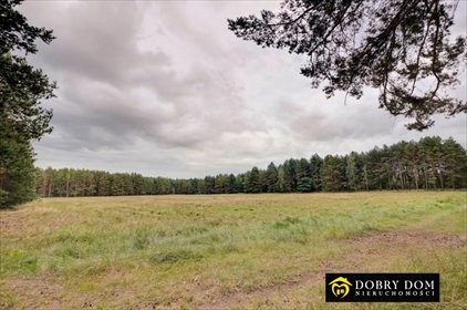 Zapraszam do zakupu terenu 22 187 m² w Karakułach działka Karakule
