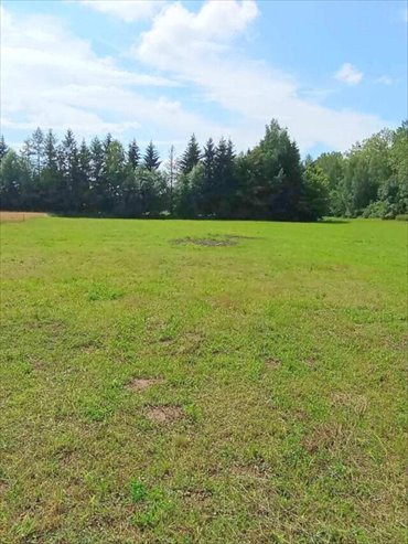 działka na sprzedaż 3025m2 działka Więcki