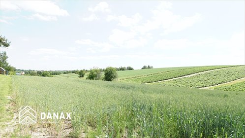 Działka 43 arów z pozwoleniem na budowę domu. działka Cianowice