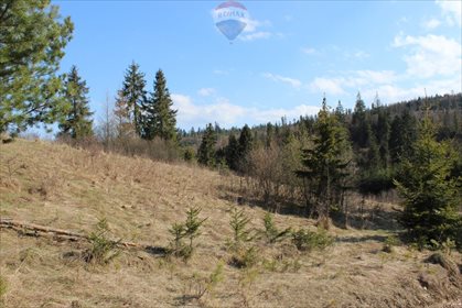 działka na sprzedaż 9299m2 działka Falsztyn