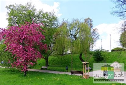 mieszkanie na sprzedaż 63m2 mieszkanie Wrocław