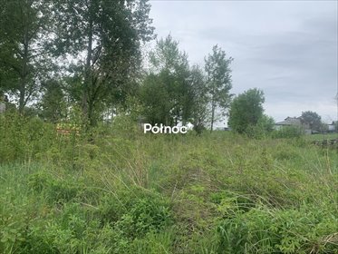 Działka 1017 m² z mediami, blisko miasta - polecam! działka Gogołowa