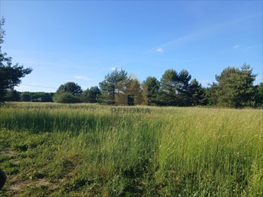 działka na sprzedaż 2000m2 działka Niemstów