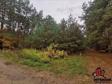 Działka budowlana 2500 m² w spokojnej okolicy Serocku działka Serock, Serock