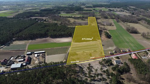 Polecam działkę 57 100 m² z lasem i mediami w Leśniakach działka Leśniaki