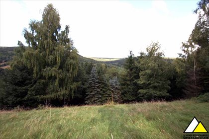 działka na sprzedaż 9688m2 działka Świeradów-Zdrój