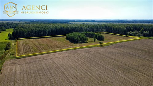 Działka 36 672 m² w Topilcu (las, dostęp do drogi) działka Topilec