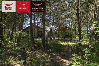 Nowoczesny dom 180 m² z kominkiem i fotowoltaiką (Szteklin) dom Szteklin