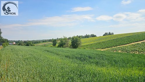Działka 42a z pozwoleniem na nowoczesny dom i budynek gospodarczy działka Cianowice Duże