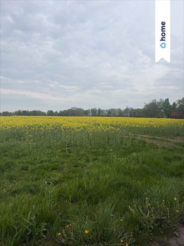 Działka budowlana 1248 m² w spokojnej okolicy Ołużnej działka Ołużna