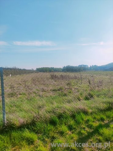 Działka rolna 10 035 m² przy głównej ulicy z prądem działka Suchostruga, 3 Maja