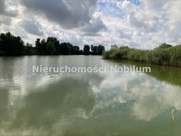 Działka inna na sprzedaż Koniowo 38 300m2 Foto 5