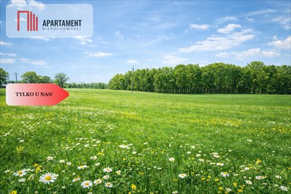 Działka 50 000 m² z lasem w Duba, inwestycje - polecam! działka Duba