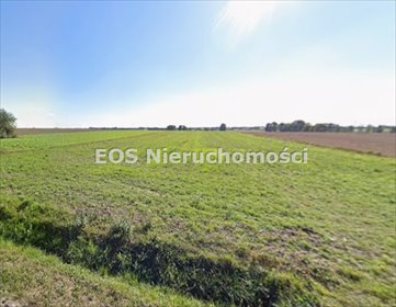 działka na sprzedaż 25820m2 działka Gościmowice Pierwsze