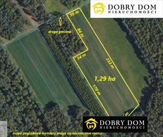 działka na sprzedaż 12900m2 działka Dobrzyniewo Duże