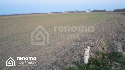 działka na sprzedaż 823m2 działka Sucha Koszalińska