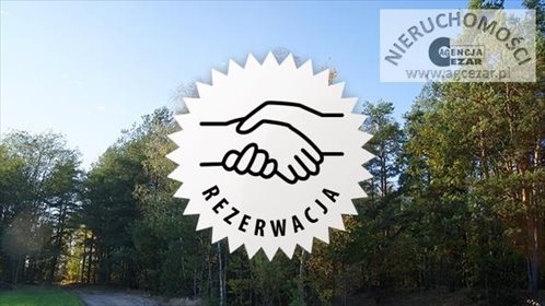 działka na sprzedaż 3000m2 działka Czarna