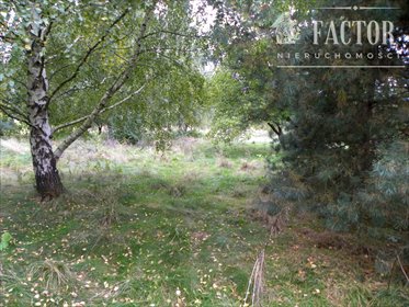 działka na sprzedaż 2100m2 działka Ropica Polska