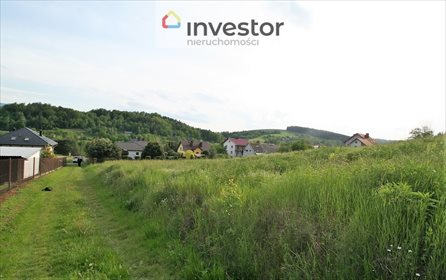 Działka budowlana na sprzedaż Olszanka 1 300m2 Foto 4