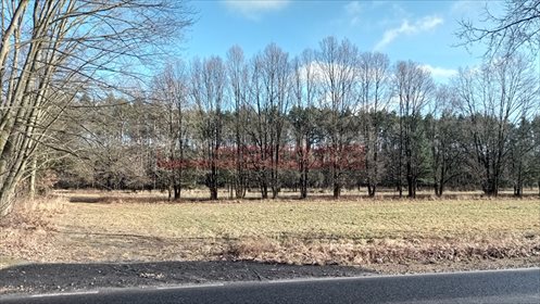 działka na sprzedaż 20600m2 działka Ładza