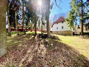 lokal użytkowy na sprzedaż 782m2 lokal użytkowy Polanica-Zdrój, Chrobrego