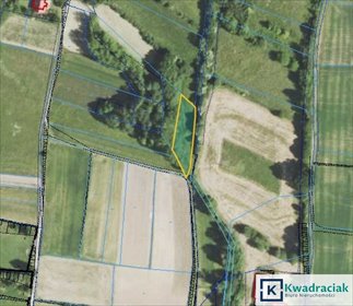 Działka rolna 1,22 ha z dostępem do drogi w Gogołowie działka Gogołów