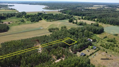 Działka 1000 m² w Młódnicach (las, warunki zabudowy) działka Młódnice