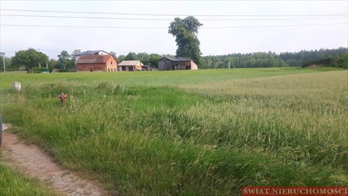 Działka budowlana na sprzedaż Bartków 2 700m2 Foto 2