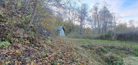 Działka budowlana na sprzedaż Zdów, Źródlana 32 295m2 Foto 7