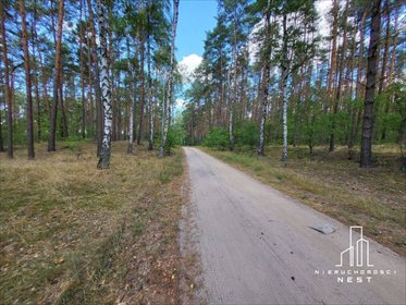 Działka 0,9054 ha z pozwoleniem na 14 lokali (Uścikowo) działka Uścikowo, Oborniki okolice Z pozwoleniem na budowe 14 lokali