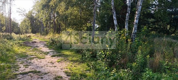 Na sprzedaż działki w Czarnym Lesie z mediami i MPZP działka Czarny Las