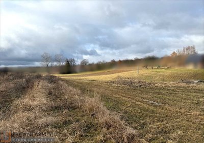 działka na sprzedaż 2130m2 działka Szczodrkowice