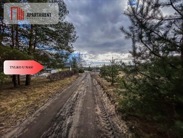 Działka 3229 m² przy lesie, warunki zabudowy polecam działka Krąplewice