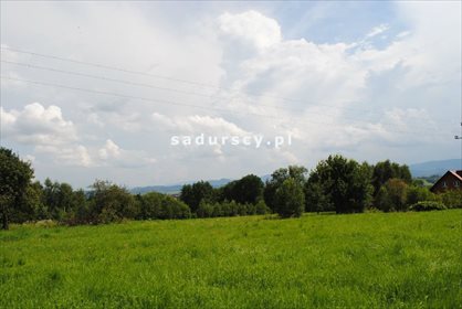 Działka leśna na sprzedaż Aleksandrów 50 000m2 Foto 4