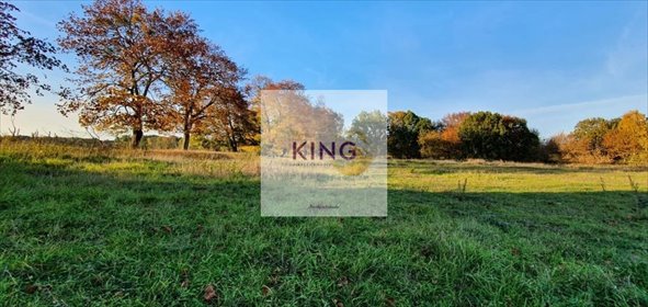 Działka na sprzedaż 65900m2 działka Rogówko