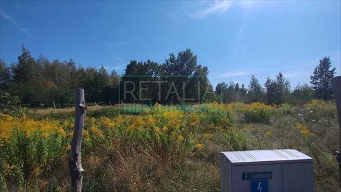 działka na sprzedaż 3236m2 działka Stare Budy Radziejowskie