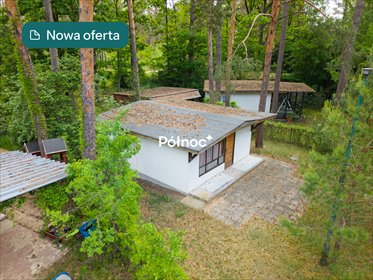 Działka rekreacyjna z domkiem, las i rzeka, 253 m² działka Ptaki