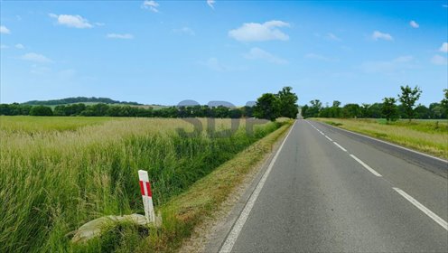 działka na sprzedaż 21620m2 działka Zawonia, Trzebnicka