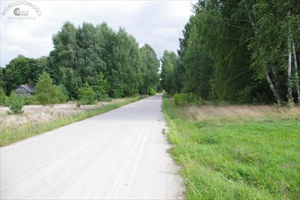 Działka rolna na sprzedaż Radoszyna 31 100m2 Foto 7