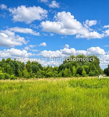 Działka budowlana 1530 m² z warunkami zabudowy działka Niwy