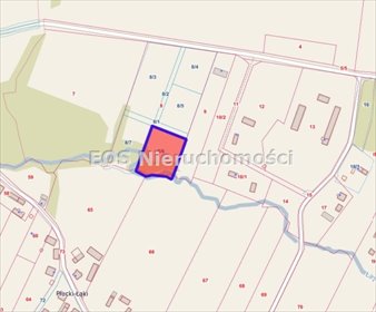 działka na sprzedaż 3200m2 działka Płucki