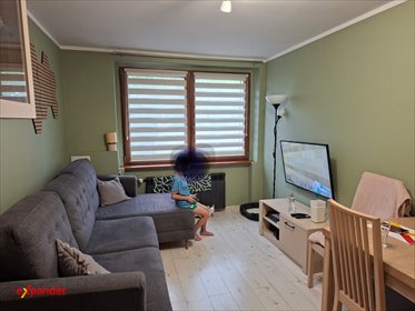 Mieszkanie 36 m² w Sosnowcu - po remoncie i widok na park mieszkanie Sosnowiec, Rotmistrza Witolda Pileckiego