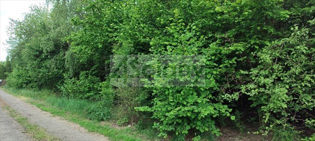 Polecam działkę 2000 m² pod dom jednorodzinny z mediami działka Krupia Wólka