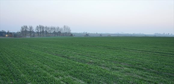 Działka komercyjna na sprzedaż Owieczki 5 000m2 Foto 1